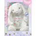 Personalised Embroidered Cream Plush Bunny Rabbit 