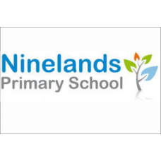 Ninelands Primary School Leavers Hoodie 2022